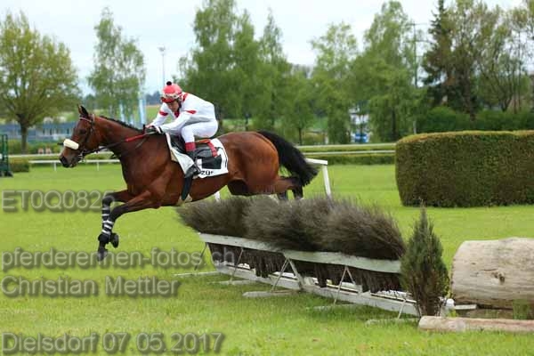 ET0Q0825 prot